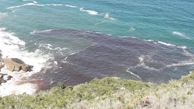 Blockage caused Meulen River sewage spill