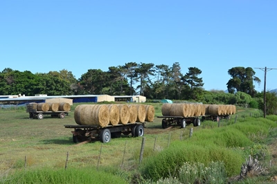 Nog droogtehulp vir boere