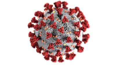 Covid-19: CX cases continue rising