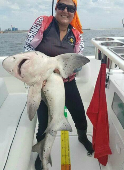 SA anglers win gold in Mossel Bay waters