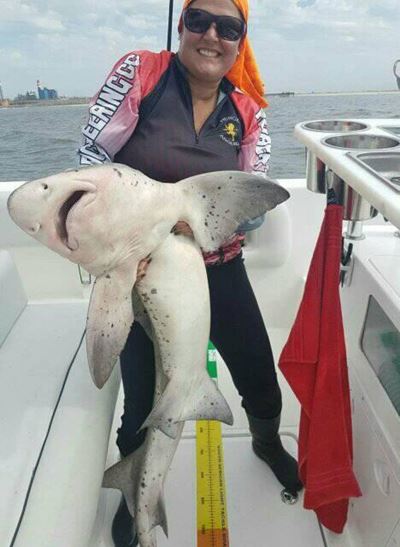 SA anglers win gold in Mossel Bay waters