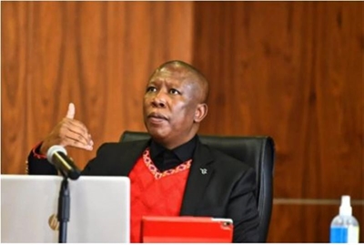 I want to retire from politics at the age of 55 – Malema