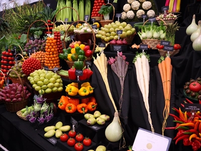 Plant-based movement opportunity for fresh produce industry