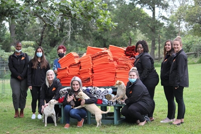 A soft landing for Oudtshoorn Dogs in Need