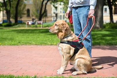 Leasing property to disabled tenants