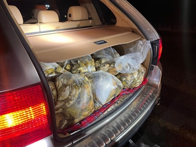 Police pounce on fishy Porsche