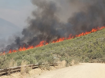 Sterk wind bemoeilik brand by  Raubenheimerdam