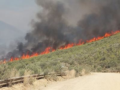 Sterk wind bemoeilik brand by  Raubenheimerdam