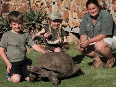 Garden Route Game Lodge: Experience the spirit of the wild