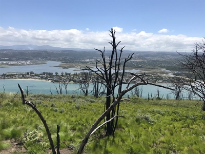 Fire grant process well under way