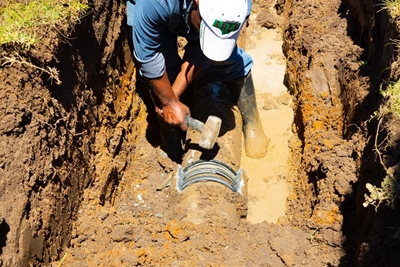 George embarks on pressure management study