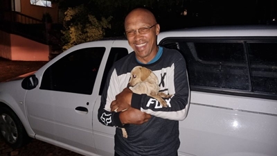 Update: Little dog found
