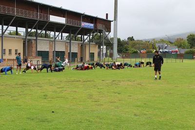 Zane Arende se nuwe breier 