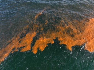 Reports of Red Tides at Glentana area