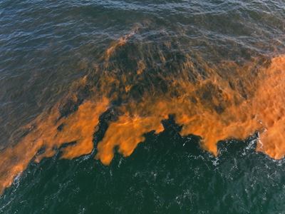 Reports of Red Tides at Glentana area