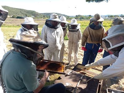 Remarkable day for beekeepers