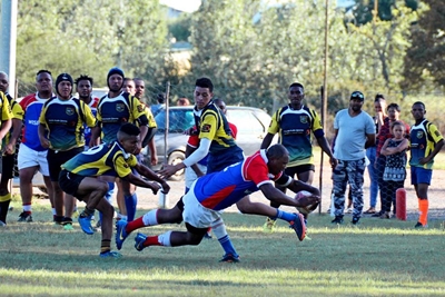 Blues reg vir die rugbyseisoen
