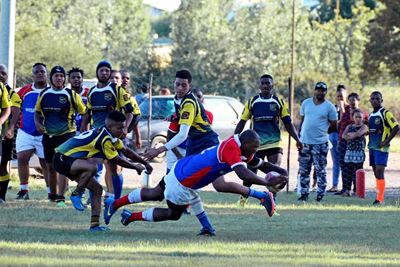Blues reg vir die rugbyseisoen