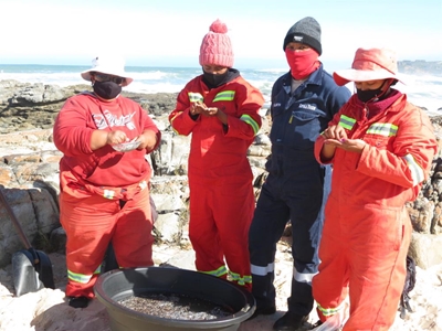 Plastiekbesoedeling 'n groot bedreiging langs Stilbaai-kus