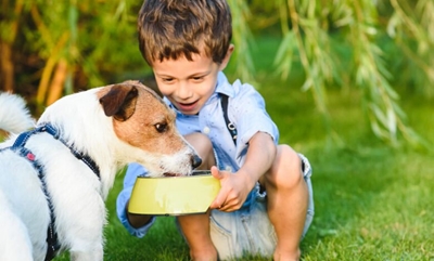 Dog bite prevention tips for parents