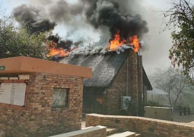 No foul play from staff suspected in Kruger Park fires