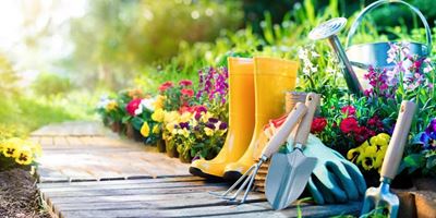 Making the most of your garden