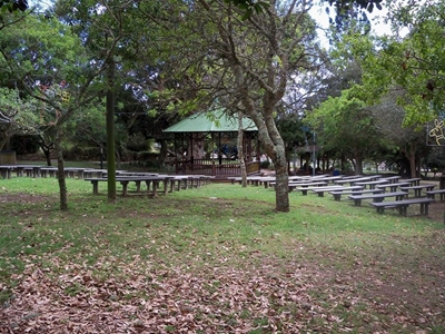 Market day at Harry Giddey Park