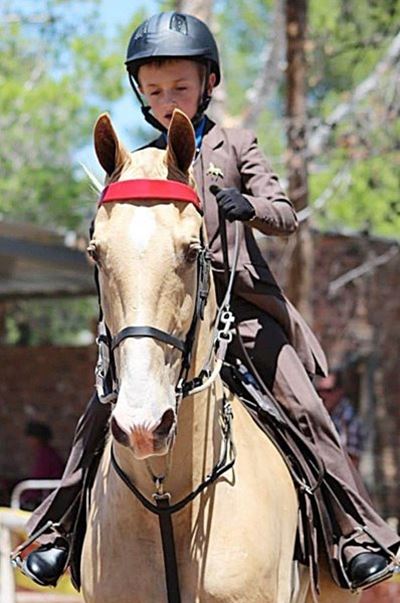 Gideon op 'n galop