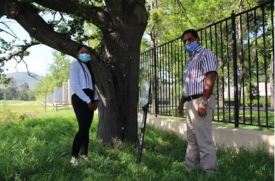Borer beetle-busting research on wine estate hopes to curb further invasions