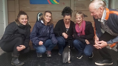 Support seabird conservation