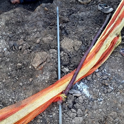 Electrical theft results in death and serious injury