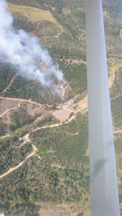 Update: Wittedrift fire