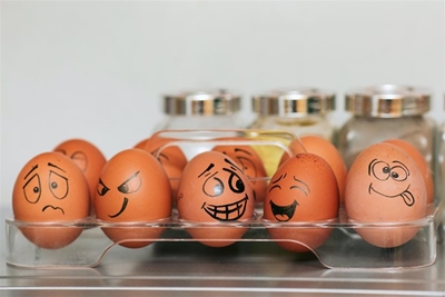 Fewer than 5 cases of bird flu in November, but price of eggs could still go up