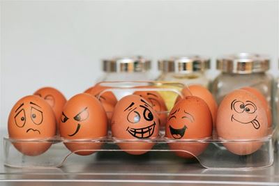Fewer than 5 cases of bird flu in November, but price of eggs could still go up