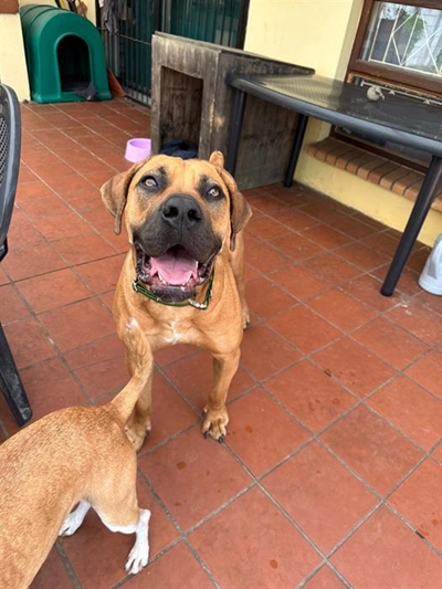 A happy ending for Zara