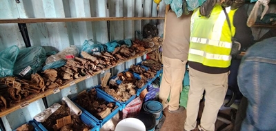 2 461 plants, plus animal skins seized