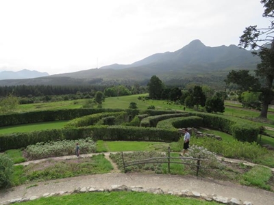 Help grow medicinal spiral at garden
