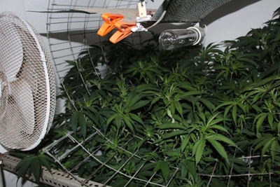 Hawks not potting around