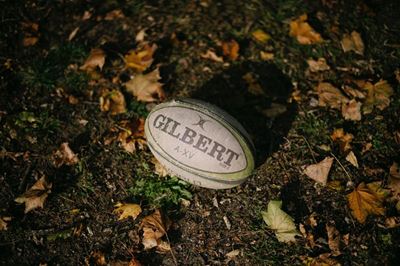 ‘Everyone wants to beat us,’ says Stormers coach John Dobson