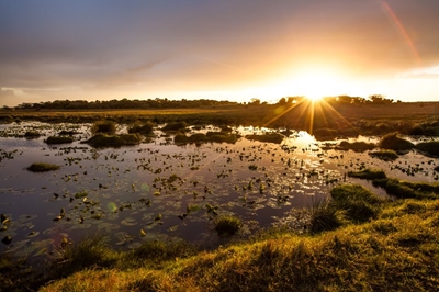 Unique bush & beach holiday destinations in South Africa 