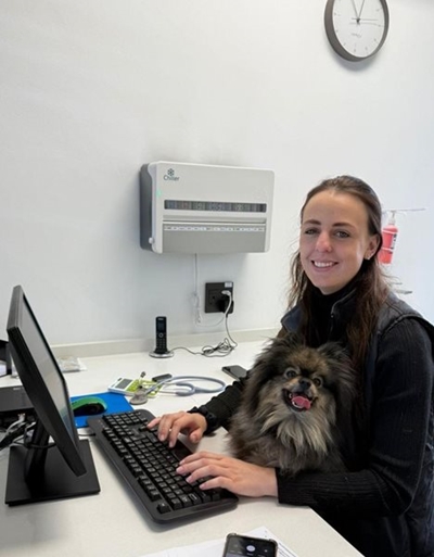 Vitalvet: Celebrating excellence, compassion and commitment