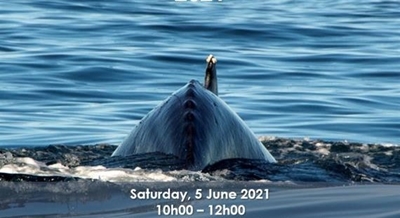 Come have a good time whale you're waiting