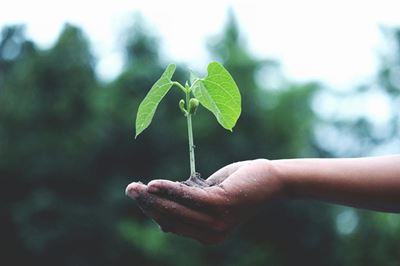 Garden Route Environmental Forum and NMU co-hosting Sustainability Seminar in Gqeberha