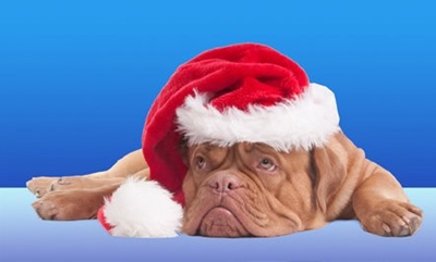 Beat the holiday blues