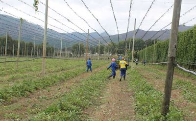 Health and safety do’s and don’ts for farmers
