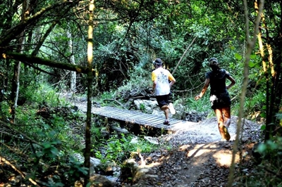 Jungle Rush Trail Run: Come run wild!