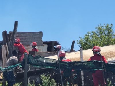 Pig farmers question municipality's 'sense of humanity' 