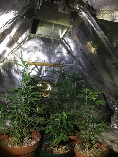 2nd delay in dagga case