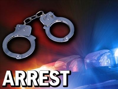 Hawks members sent to jail for fraud