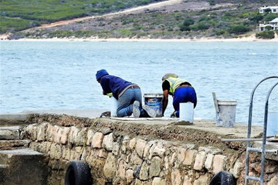 Kraaltjieprojek op Witsand